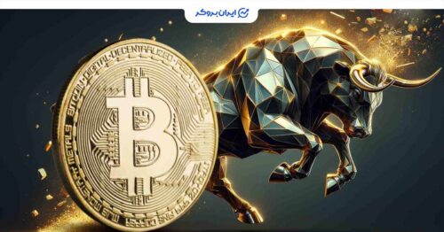 btc bull