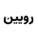 صندوق بورسی رویین