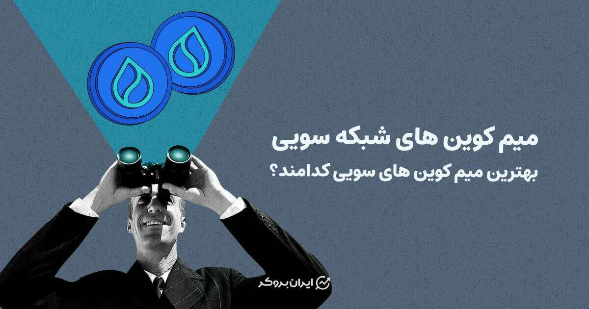 میم کوین های شبکه سویی
