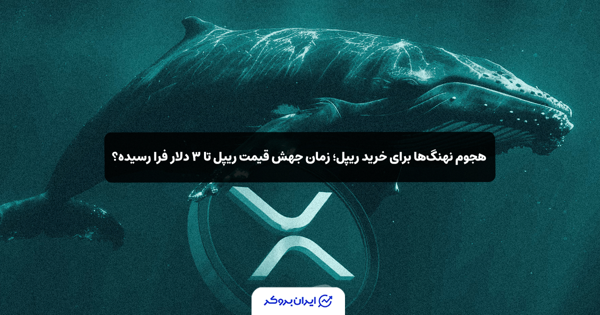 xrp whale 1