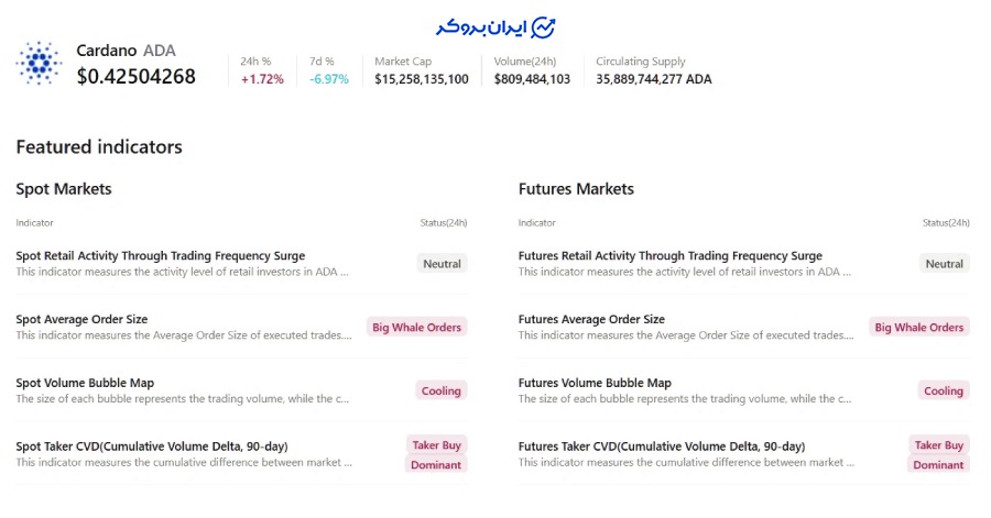 سفارشات بزرگ نهنگها