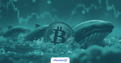 btc whales 4